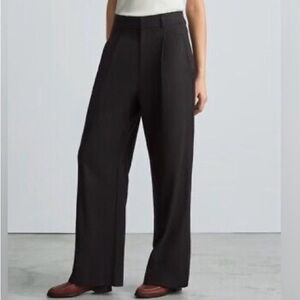 Everlane Black Tencel Way High Wide Leg Pant, Size 8R